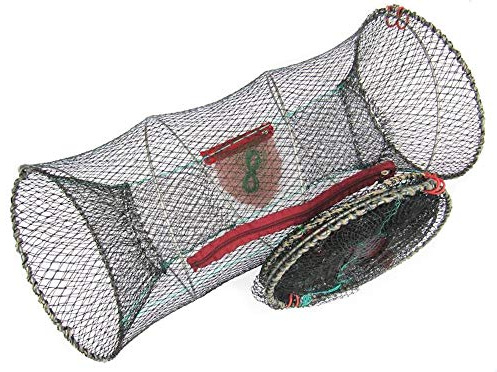 legal, Collapsible mesh crayfish trap