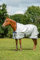 BUCAS Power Turnout light High Neck (145)