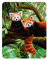 3D LiveLife Magnet - Roter Panda von Deluxebase. Linsenförmige 3D Wildes Tier Kühlschrankmagnet. Dekoration für Kinder und Erwachsene mit Kunstwerk lizenziert von bekannt Künstler, Katrina Sokolo