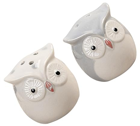 BESTonZON 2stücke Teiliges Keramik Gewürzglas Eulen-design Hitze Korrosionsbeständig Für Salz Pfeffer Chili Praktische Küchenlagerung Für Familie Und Restaurant Leicht Zu Reinigen