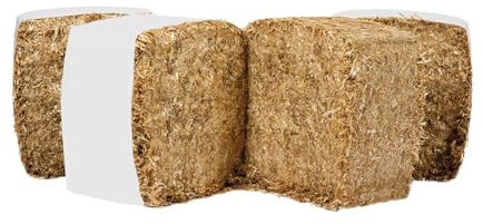 Lettiera per cavalli in paglia | Assorbe il 200% del suo peso | Lettiera per polli | Lettiera per conigli | Fondo per box cavalli - Sacco da 13 kg / 4 mq superfice (1 confezione da 13 kg)