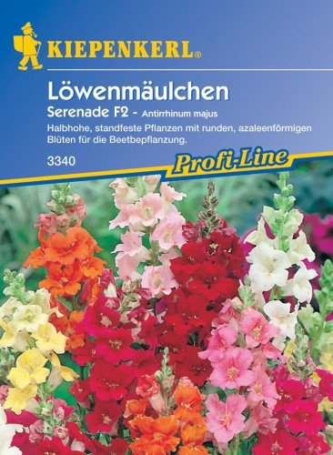 Löwenmäulchen Serenade, Mix