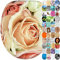 Sanilo Toilet Seat, Wide Choice of Beautiful Toilet Seats, Stable Hinges, Easy to Mount (Pink Rose)