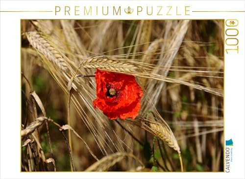 CALVENDO Puzzle EIN Motiv aus dem Kalender Roter Mohn, Bunte Wiesen | 1000 Teile Lege-Größe 64 x 48 cm Foto-Puzzle für glückliche Stunden