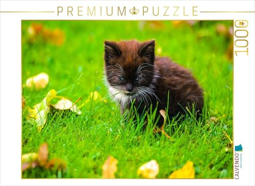CALVENDO Puzzle Junges Kätzchen auf Einer Wiese | 1000 Teile Lege-Größe 64 x 48 cm Foto-Puzzle für glückliche Stunden
