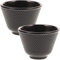 2 Pièces Tasse à Thé En Fonte Tasses à Thé Japonaises En Fer Tasses Vintage Saké Tasse De Noël Thé Maté Tasses à Thé Claires Tasse De Thé Kung-fu Bière Asie Service à Thé Le Fer