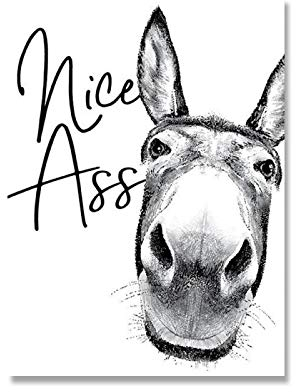 Zhadongli Art Nice Ass Zitat Lustiges Schild Vintage Esel Poster Schwarz Weiß Wandkunst Leinwand Gemälde Bilder Drucke für Badezimmer Dekor 40x50cm(16x20in) Rahmenlos