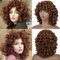 Leeven 12 Inch Afro Kinky Curly Wig with Bangs Synthetic Curly Afro Wig Natural Bouncy Curls Short Wigs with Fringe for Woman 30#