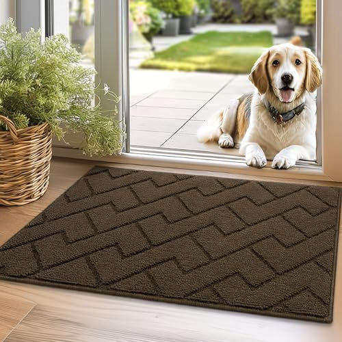 Biscpro Felpudo Entrada Casa, 50 x 80 cm Absorbente y Impermeable, Alfombrilla Antideslizante para Atrapar Lluvia, Lavable, Exterior, Pasillo, Cocina