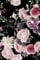 SOEWIOU Floral Peel and Stick Wallpaper,44.5×300cm Abstract Floral Style Pink Floral Wallpaper Floral Pattern Peel and Stick Wallpaper,Black Background Wallpaper for Bedroom Living Room Bathroom