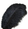 Sowder 10pcs Strauß-Federn 12-14inch (30-35cm) für Haupthochzeits-Dekoration (Schwarzes)