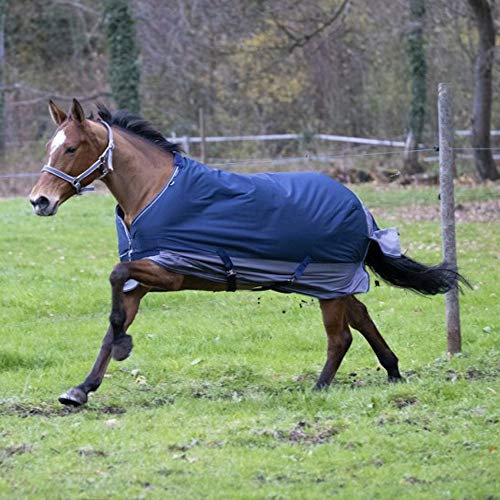 Equi-Theme/Equit'M Tyrex 600 D Pferdedecke, Unisex, 400910, Marineblau/grau, 5 ft/0-Inch/153 cm