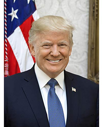 Artery8 Craighead Portrait US-Präsident Donald Trump Ungerahmter extragroßer Druck
