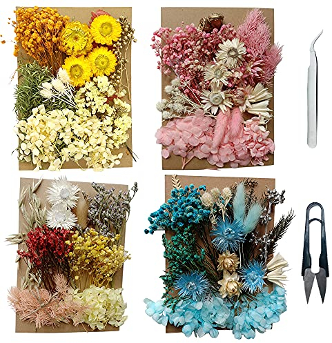 Cayway Natürlich Gepresste Getrocknete Blumen Natürlich Getrocknete Blätter Getrocknete Blumen Deko Gemischt mit Pinzette, Schere für Harz Kerzen Nagel DIY Dekor