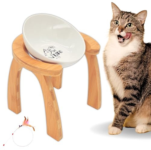 Rênasci Ceramic Cat Bowl Bamboo Pet Food Adjustable Angle Suitable (Meow Rainbow)