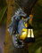 Tree Hugger Statue de dragon de jardin avec lanterne solaire – Décoration extérieure – Panneau de bienvenue et visage d'arbre – Idée cadeau de jardinage parfaite, 13,97 cm x 26,92 cm
