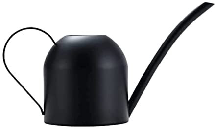 ASHSDI Arosoires Extérieur Arrosoir en Acier Inoxydable De Style Moderne avec Bec Long pour Un Versement Facile Arrosoir Jardin