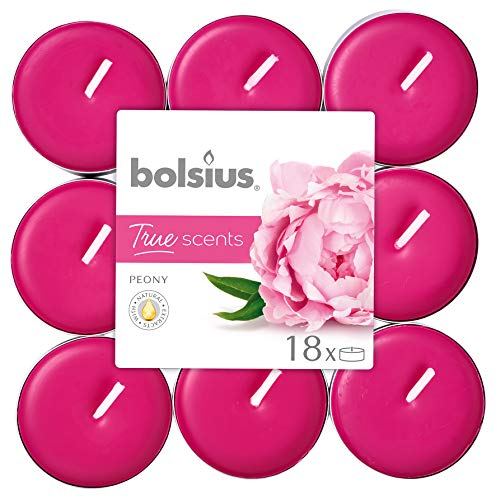 bolsius Teelichter Pfingstrose, 4 Stunden, Wachs, Pink, Einheitsgröße, 101926943462