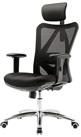 Mendler Bürostuhl HWC-J86, Schreibtischstuhl, ergonomisch, verstellbare Lordosenstütze 150kg belastbar - ohne Fußstütze, schwarz