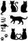 Clear Stamps Katzen