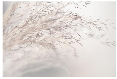Bilderwelten Fototapete Gräser 255cm x 384cm Blumen Modern Natur Blumentapete Vliestapete Tapete Wanddeko Ideen Wohnzimmer Schlafzimmer Küche