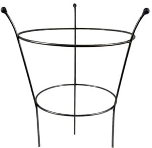 Peony Cage Plant Support Raw Steel Designed to Rust, 47cm or 64 cm Tall, Made in Britain (24 Tall (64cm))