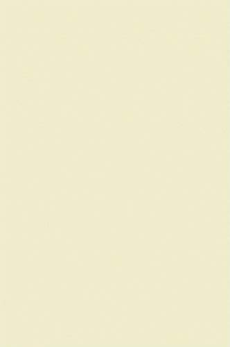 Netuno 200 Blatt Drukerpapier Creme DIN A4 210× 297 mm 120g Olin Kopier-Papier A4 Ausstattungs-Papier Broschürenpapier Briefpapier Tonpapier cremefarben Druckerpapier Büropapier für Tinte und Laser