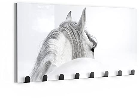 DEQORI Wandgarderobe Glas & Metall | Motiv Andalusisches Pferd | 60x30 cm | Design Haken-Leiste modern | Garderoben-Paneel für Flur, Wohnzimmer & Schlafzimmer | magnetisch & beschreibbar