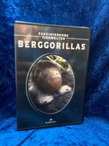 Warner Home Video - DVD