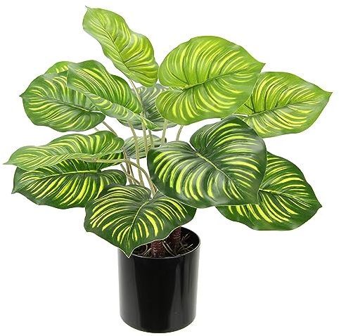 Künstliche Maranthus Pflanze im Topf Anthuriumblattpflanze Efeutute Photospflanze Zimmerpflanze Deko Seidenblume Pflanzen Kunstpflanze Dekopflanze Grünpflanze Büropflanze Pothos Blattpflanze Busch