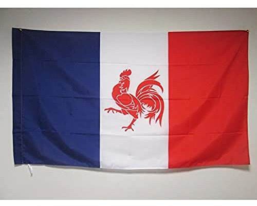 AZ FLAG - Drapeau Mouvement Wallonie française - 90x60 cm - Drapeau Wallon Français 100% Polyester Avec Fourreau et Cordelette - Pavillon 50 g