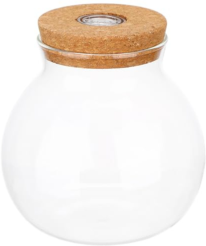 Housoutil Mini Aquarium Bottle with LED Light, Glass Terrarium Jar for Succulents and Air Plants, Smooth Surface Easy to Maintain, for Office or Home Decor