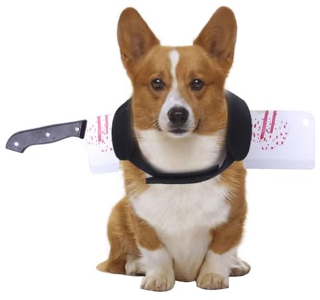 Vestire il cane di Halloween con coltello, vestiti per cuccioli di gattino, macchie di sangue, cosplay