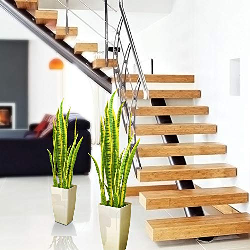 Árbol artificial de 91 cm en maceta negra brillante Milano – 2 plantas de lengua suegra