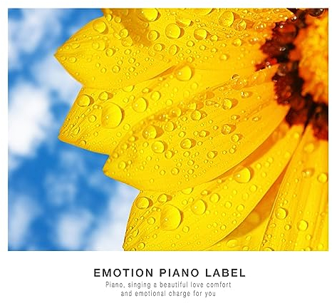 Warm emotional piano collection that wipes tears