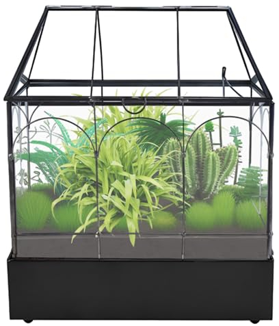 HighFree Terrario grande de cristal con bandeja de metal y patas de bola, kit de invernadero para suculentas, cactus, caracoles, arañas y reptiles en miniatura, color negro