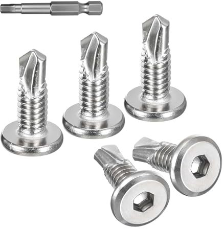 Dayalo 40 viti autofilettanti, in acciaio inox, a testa piatta, viti autofilettanti, viti autofilettanti M5,5 x 16 mm, con trapano a esagono incassato