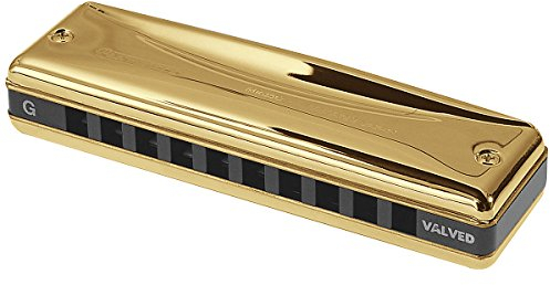 Suzuki MR-350VG-B Promaster Diatonische Mundharmonika mit Ventil, Gold, 10 Löcher