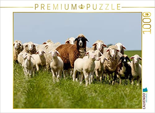 CALVENDO Puzzle Schafherde am Deich in Ostfriesland 1000 Teile Puzzle quer | 1000 Teile Lege-Größe 64 x 48 cm Foto-Puzzle für glückliche Stunden