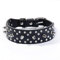 haoyueer Collar de perro de cuero con tachuelas con pinchos, con remaches de bala y diamantes de imitación, suave y ajustable para perros medianos y grandes (M, negro)