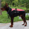 Nyescasa Hundemantel Winter Hundebekleidung Wasserdicht Hundejacke mit Geschirr, Reflektierend, Einstellbar Hunde Winterjacke XL für mittelgroße und große Hunde, Outdoor-Sport Winddichte Hundeweste