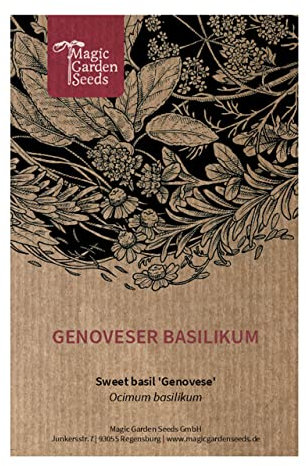 Genoveser Basilikum (Ocimum basilicum) - ca. 600 Samen
