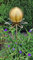 Jürgen Bocker Garten-Ambiente Blütenzauber Paris Rosenkugel 10 cm Edelstahl Gartenstecker Deko mit Stab 80 cm (Gold matt)