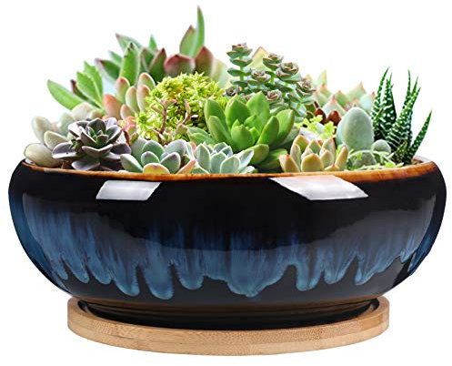 SQOWL 7 Inch Round Ceramic Succulent Planter Pot Drip Glazed Shallow Planter with Drainage Bamboo Tray for Indoor Plants