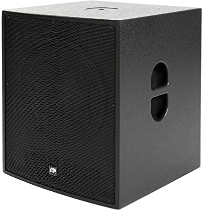 Music Store Go! Sub 15A Aktiver Subwoofer 15 Zoll, 1000 Watt Class D Endstufe, M20 Gewinde, XLR Eingang & Ausgang, 45-250Hz Frequenzgang, Holzgehäuse - Perfekt für Veranstaltungen und Konzerte