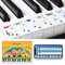 Ffalstaff - Pegatinas para teclado en PVC transparente 32/37/44/49/54/61 con notación musical italiana e internacional, aplicación de aprendizaje para piano y libro electrónico Suona la Tastiera