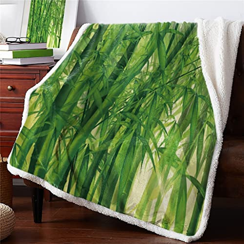 BODHIS Grüne Bambuswald-Sherpa-Decke, doppelt dick, Samt-Flanell, Tagesdecken, Büro, Nickerchen, Überwurf, Decke, Sofabezug, Bettwäsche (125 x 200 cm)