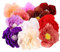 OFFSCH 11 Stück 3D Papierblumen Aus Seidenpapier Heim Papierblumen Dekore Handgefertigte Papierblumen Wanddekorationen Papierblumen Dekorationen Künstliche Papierblumen Party