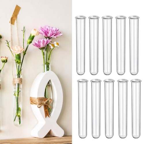 10 Stück Reagenzglas,Reagenzglas Kunststoff,aus stabilem Acrylkunststoff | Btl.mit ausgestelltem Rand und Rundboden Reagenzgläser für Blumen,für Blumen,Liquids,DIY,24mm×120mm