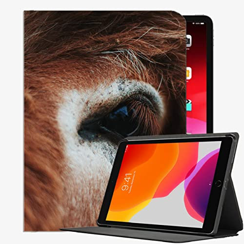 Für iPad Pro 12,9 cl